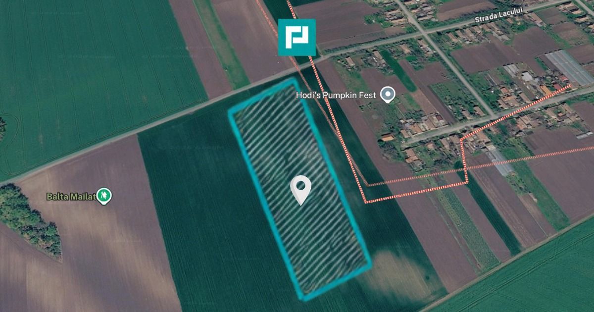 Teren de 8600 Mp2, agricol extravilan, Mailat - Poză 2