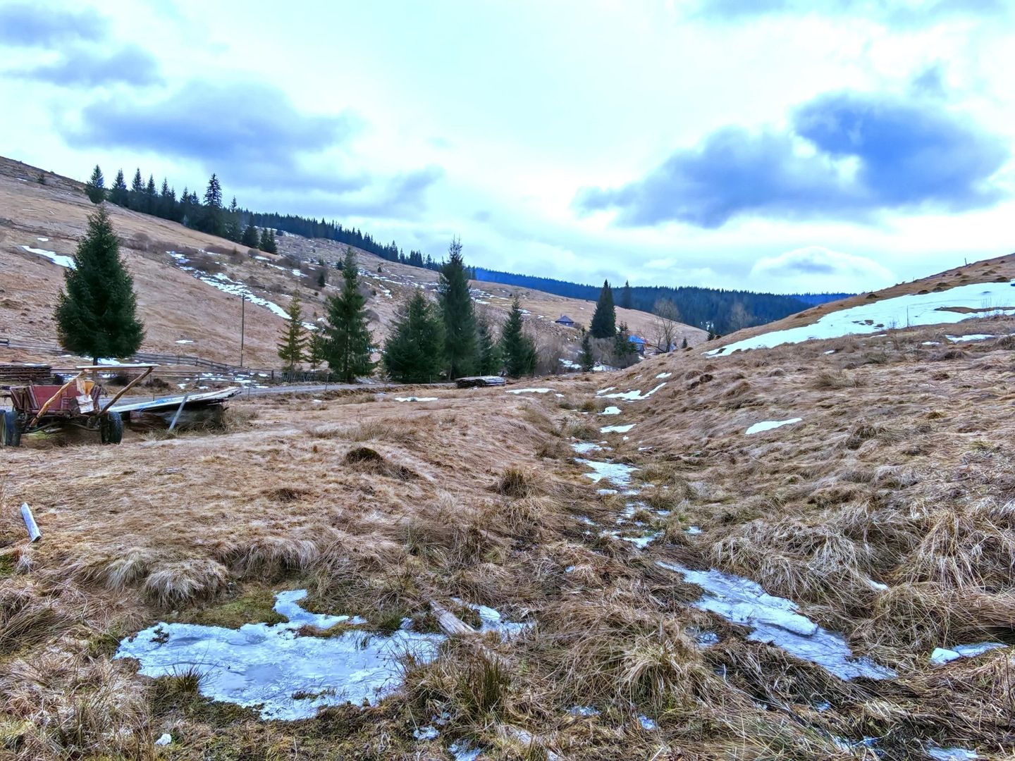 8.263 mp Teren cu Pârâu și Izvoare în Beliș-Fântânele, Cluj - Poză 7