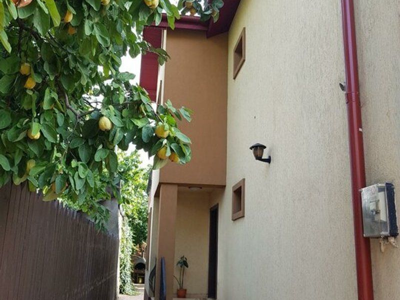 NOU! Vila deosebita, verdeata , intimitate , confort,  Parc Bazilescu - Poză 4