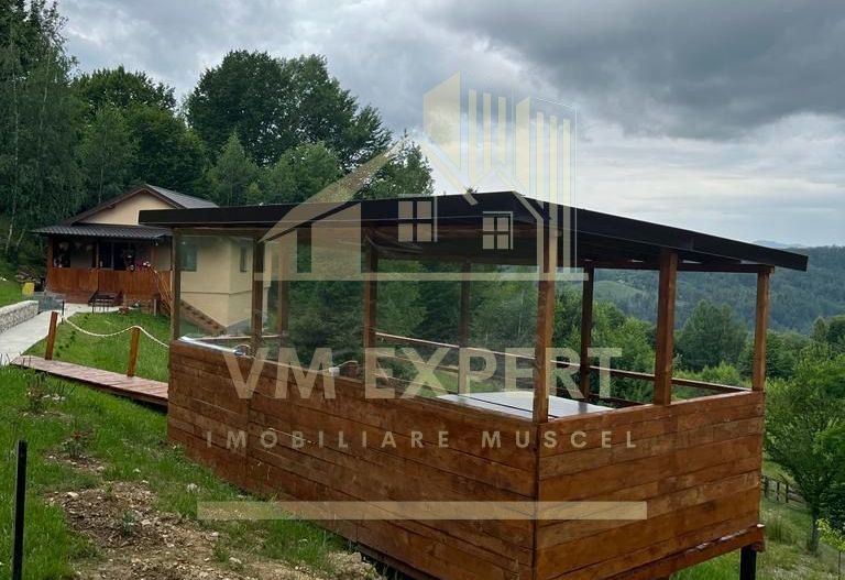 CASA 3 CAMERE, TEREN 3100 MP, ALBESTI DE MUSCEL, ARGES - Poză 20