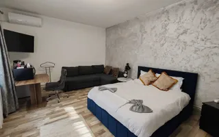 Casă cu 3 unități de cazare în regim hotelier – Zona Traian, Timișoara - Poză 15