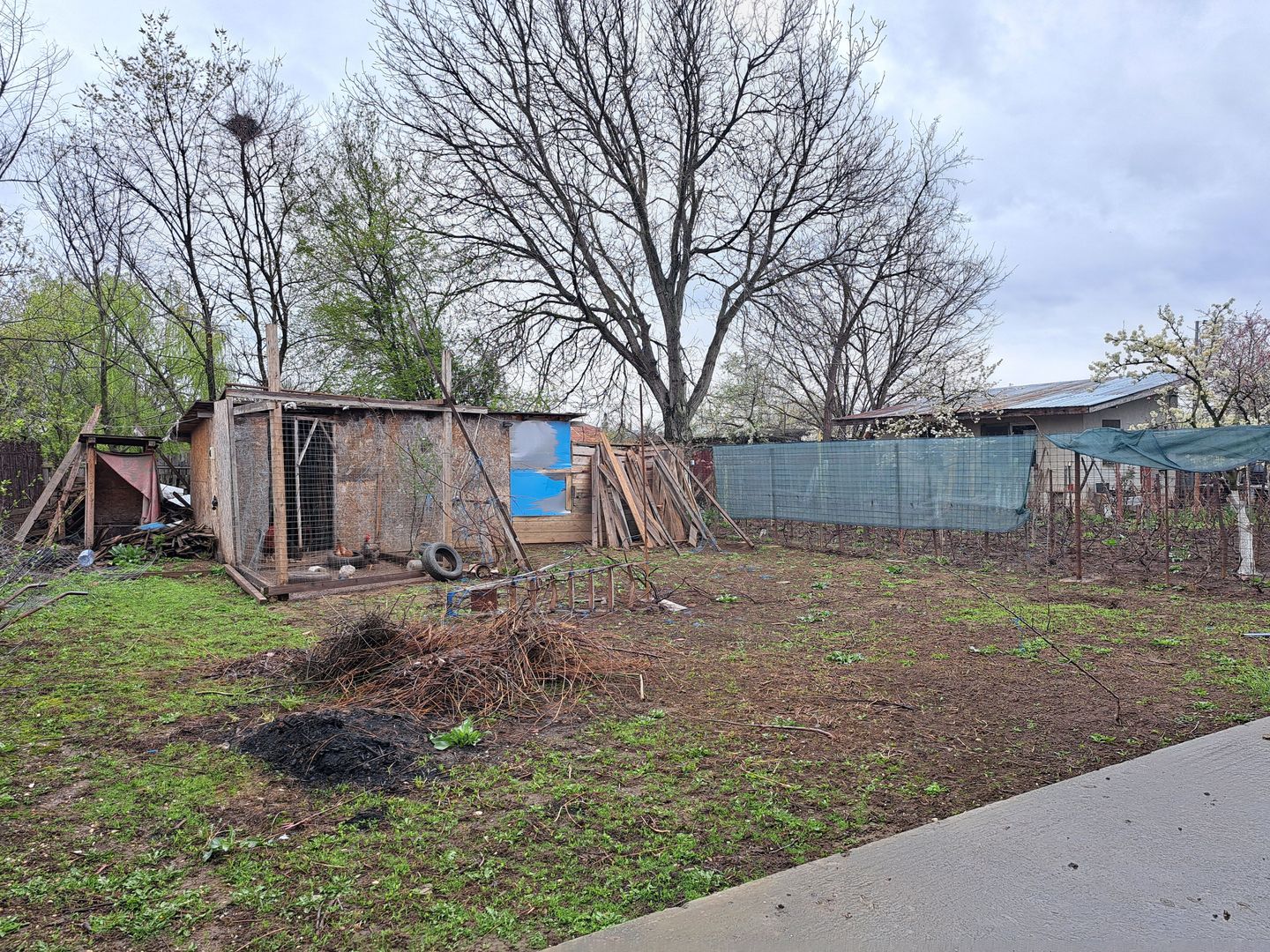 Casa + teren 825 mp in Afumati - str. Marasesti - Poză 17