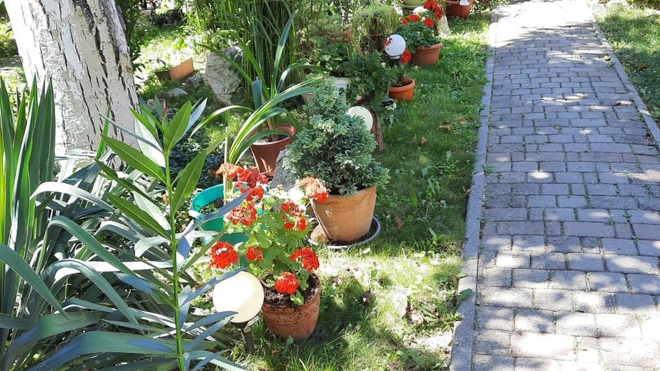Calea Șagului | 3 Camere | 2 bai | Teren în proprietate 190 mp | Curte amenajat - Poză 1