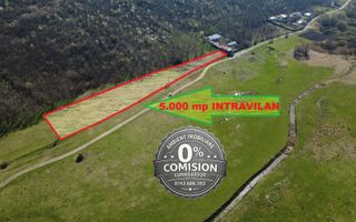 TEREN INTRAVILAN 5.000 mp, VASLUI - zona LAC DELEA; - Poză 3