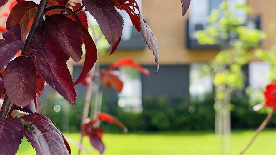 OFERTA VANDUTA - Direct Dezvoltator 0% Comision | Apartament 2 camere 55.8 mp | - Poză 6