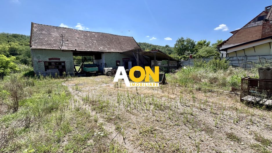 Teren Împrejmuit, 3514mp, Asfalt, Ciugud - Poză 10