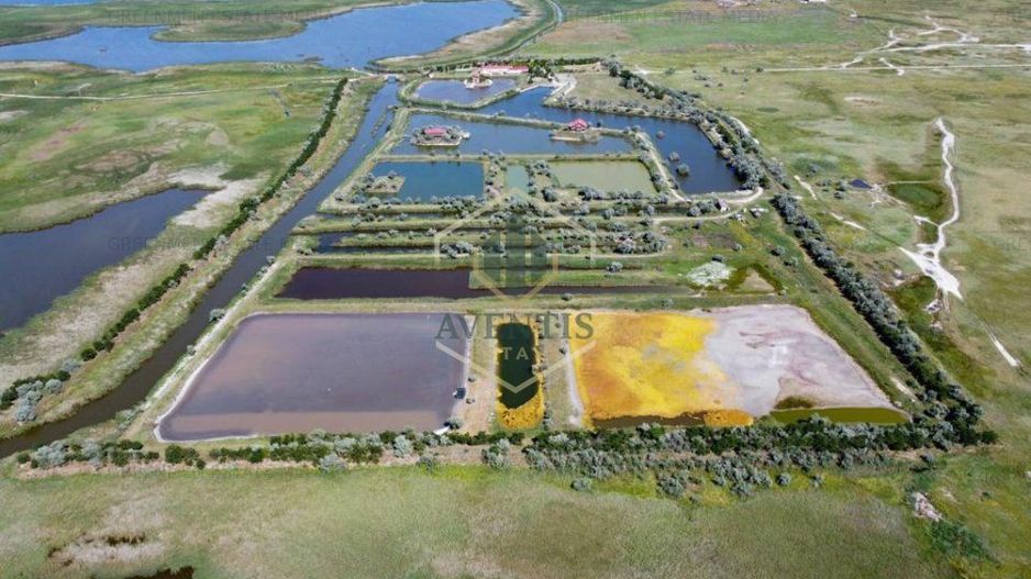 Oportunitate investitie teren Delta Dunarii, pe malul Lacului Histria - Poză 3