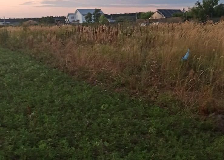 Teren Branesti - Strada Noua - Poză 7