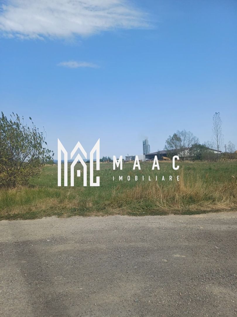 Teren | 10,000 MP | Extravilan | Posibilitate de parcelare | Cristian - Poză 2