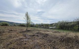 De vânzare teren intravilan – Bârsau, jud. Hunedoara - Poză 3