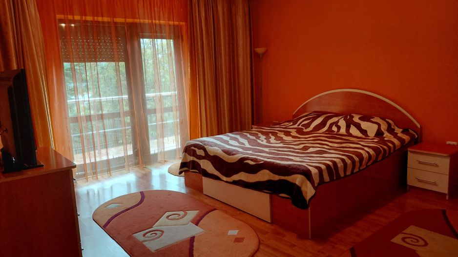 Casă Spațioasă P+1+M, 265 mp Utili, 1000 mp Teren – Toate Utilitățile, Vânători - Poză 23