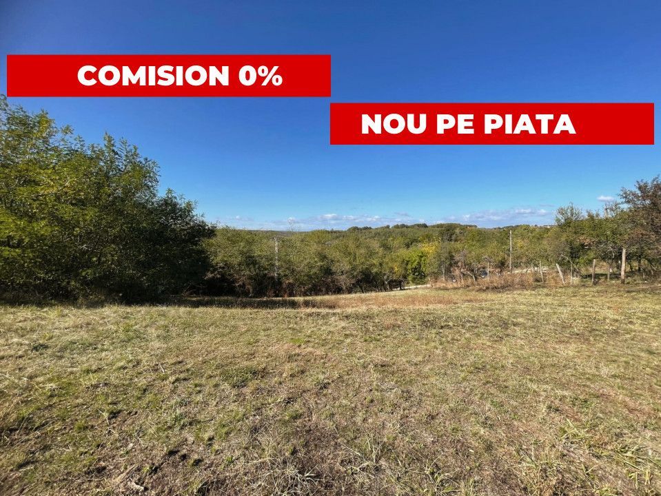 Teren generos Argeș Babana - Poză 1