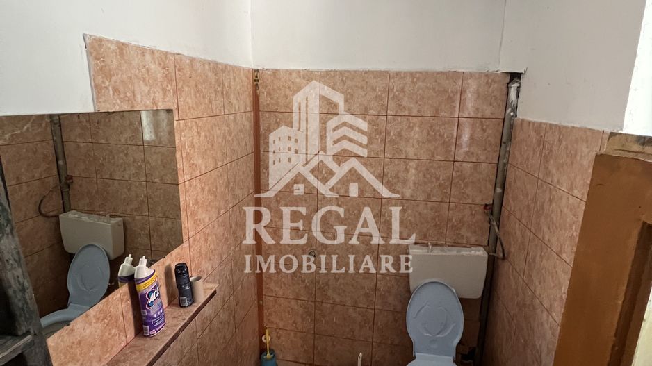 Casă de vânzare în Călanul Mic –  2 clădiri, curte, grădină, garaj - Poză 14