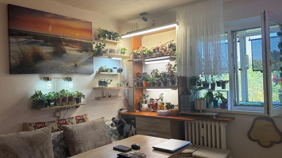 Apartament cu trei camere, Brancoveanu-Luica, 88.000€ - Poză 3