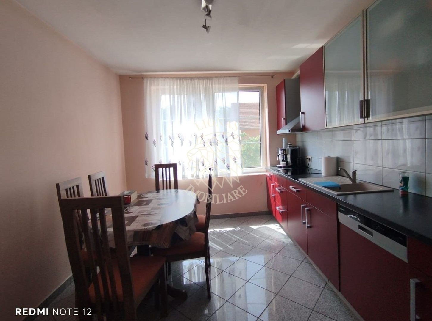 Casa 6 camere 205 mp-teren 14 ari-garaj, anexa, baci-Unirea - Poză 3