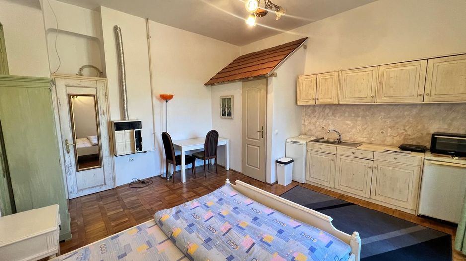Garsoniera cu terasa proprie in vila interbelica | 20 mp + 16 mp terasa | Centru - Poză 1