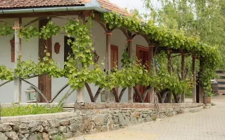 Pivnițele Birăuaș D.O.C Miniș - RATE FĂRĂ DOBÂNDĂ - Poză 59