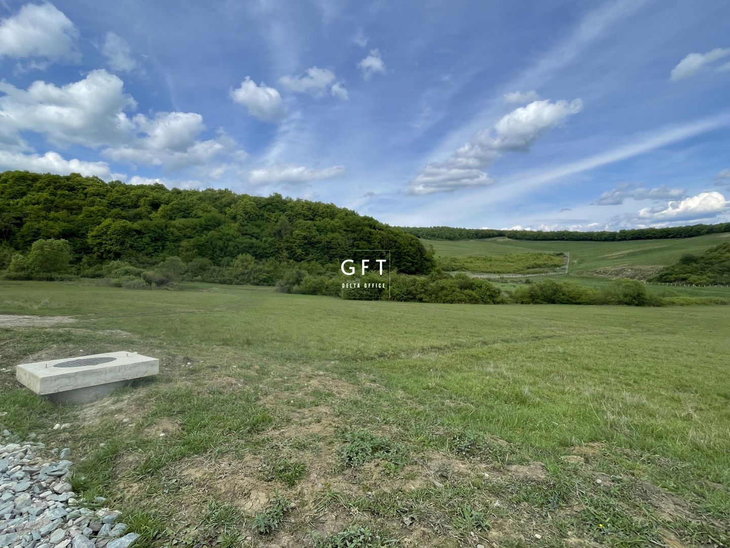 Teren extravilan 10000 mp, Jelna. - Poză 3