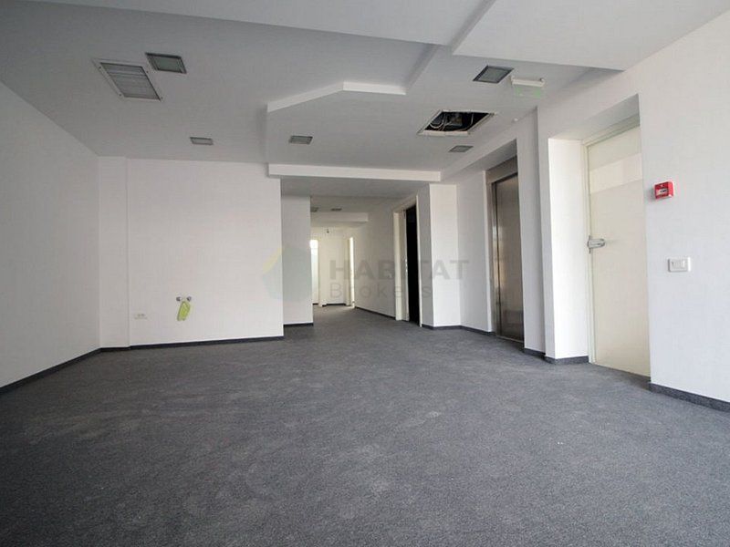 Cladire birouri inchiriata complet, zona Basarab - Titulescu - Poză 8