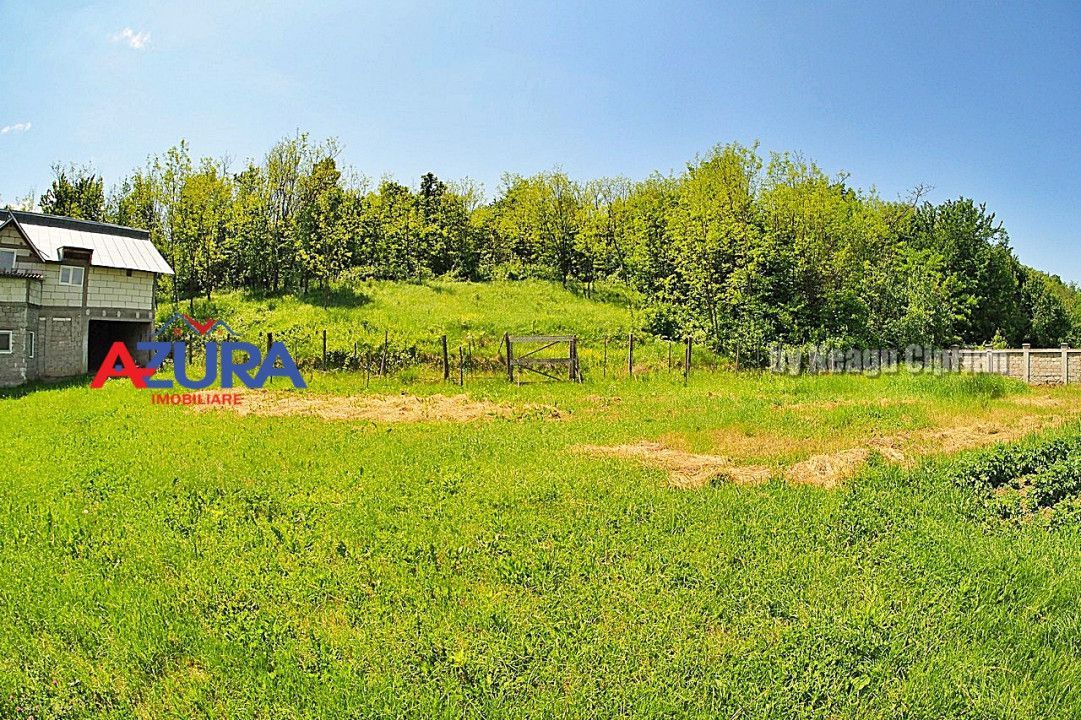 Vanzare vila Albota - Mares - Poză 10