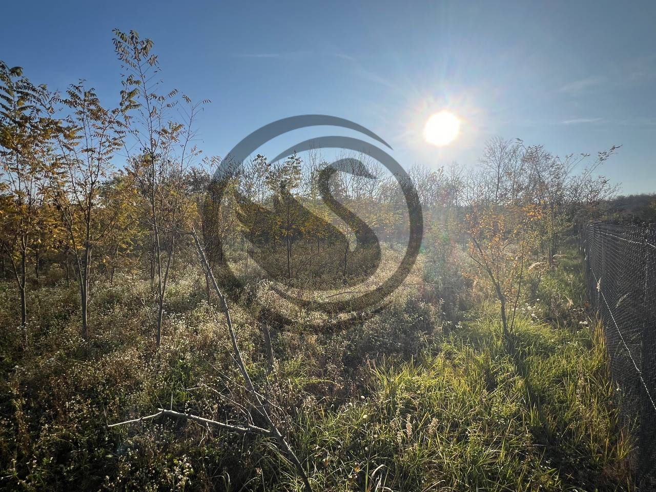 Teren intravilan de vanzare | 12.650 mp | Ghirdoveni, | COMISION 0% - Poză 13
