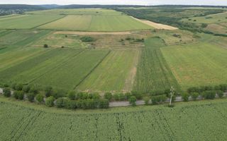 Teren de 4.400 mp Racova - Poză 5
