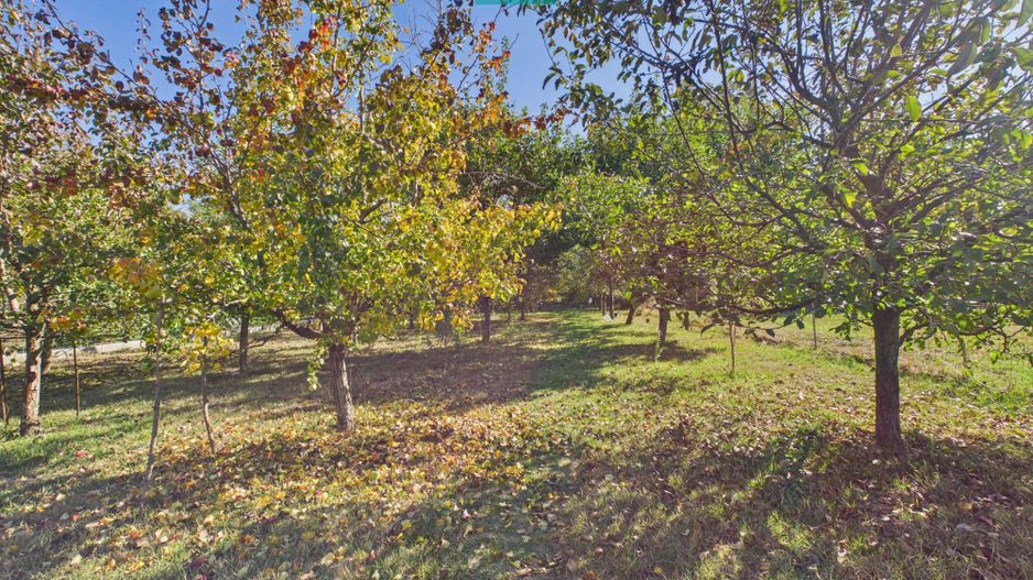 Casă cu 3 dormitoare în Bătania - Poză 27