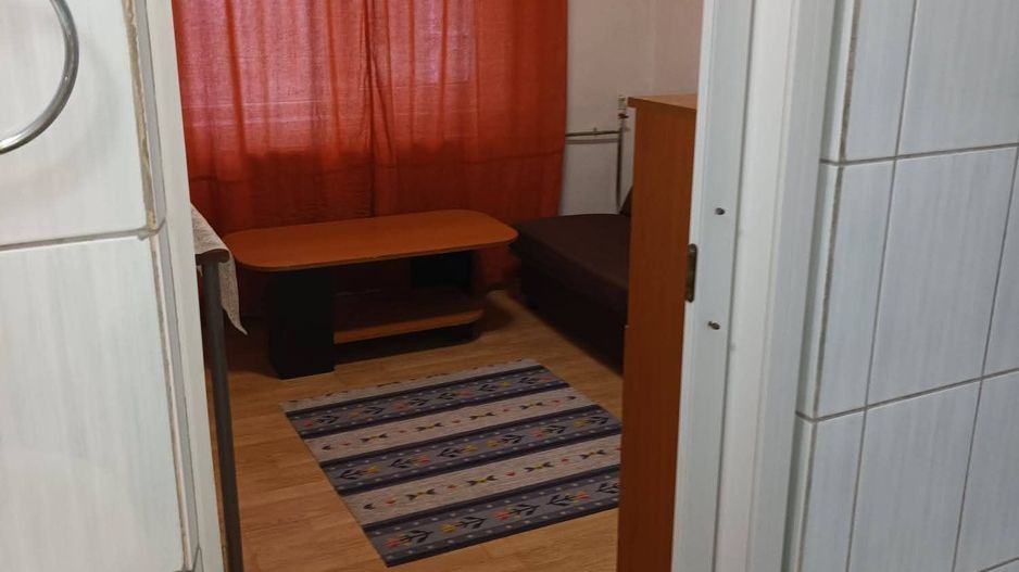 Apartament cu 1 camera - Calea Aradului - Poză 10