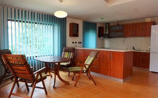 VILA SPATIOASA CU 5 CAMERE IN COMPLEX BOUTIQUE DIN IANCU NICOLAE - Poză 2