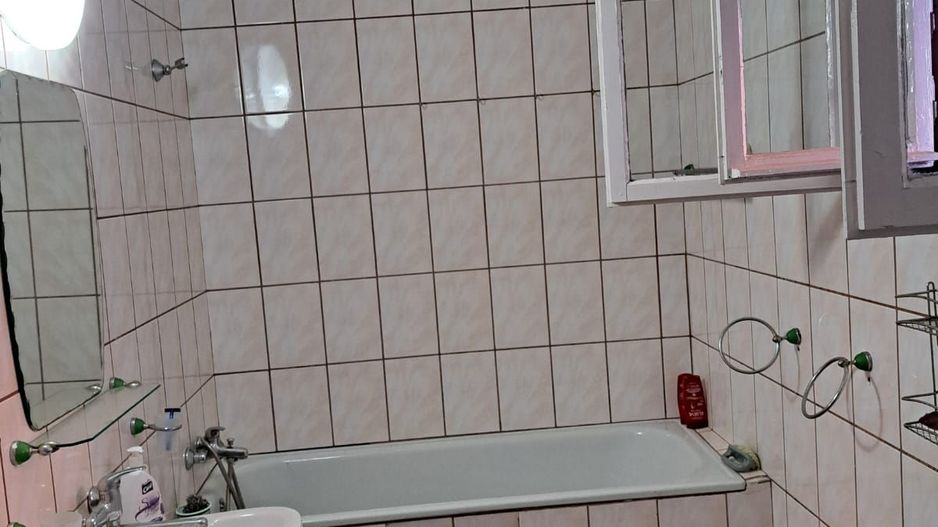 OFERTA in Băcia. Hunedoara ! Proprietate 2 case + Cabană - Poză 13