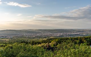 0 % comision, casa cocheta situata in Feleacu avand 503 mp teren - Poză 49