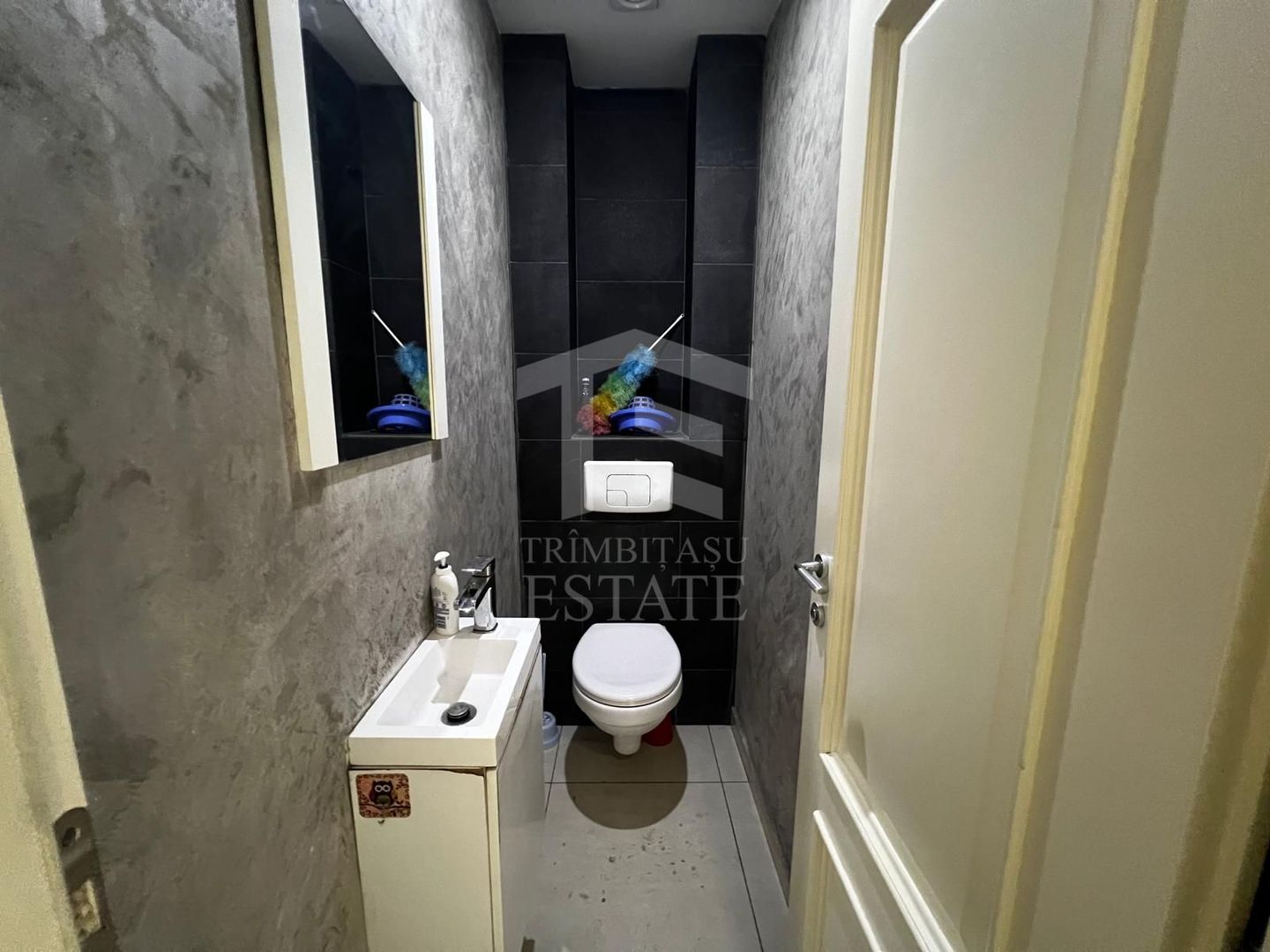 Spatiu Birou Stradal Zona Plevnei-Basarab 55mp - Poză 6