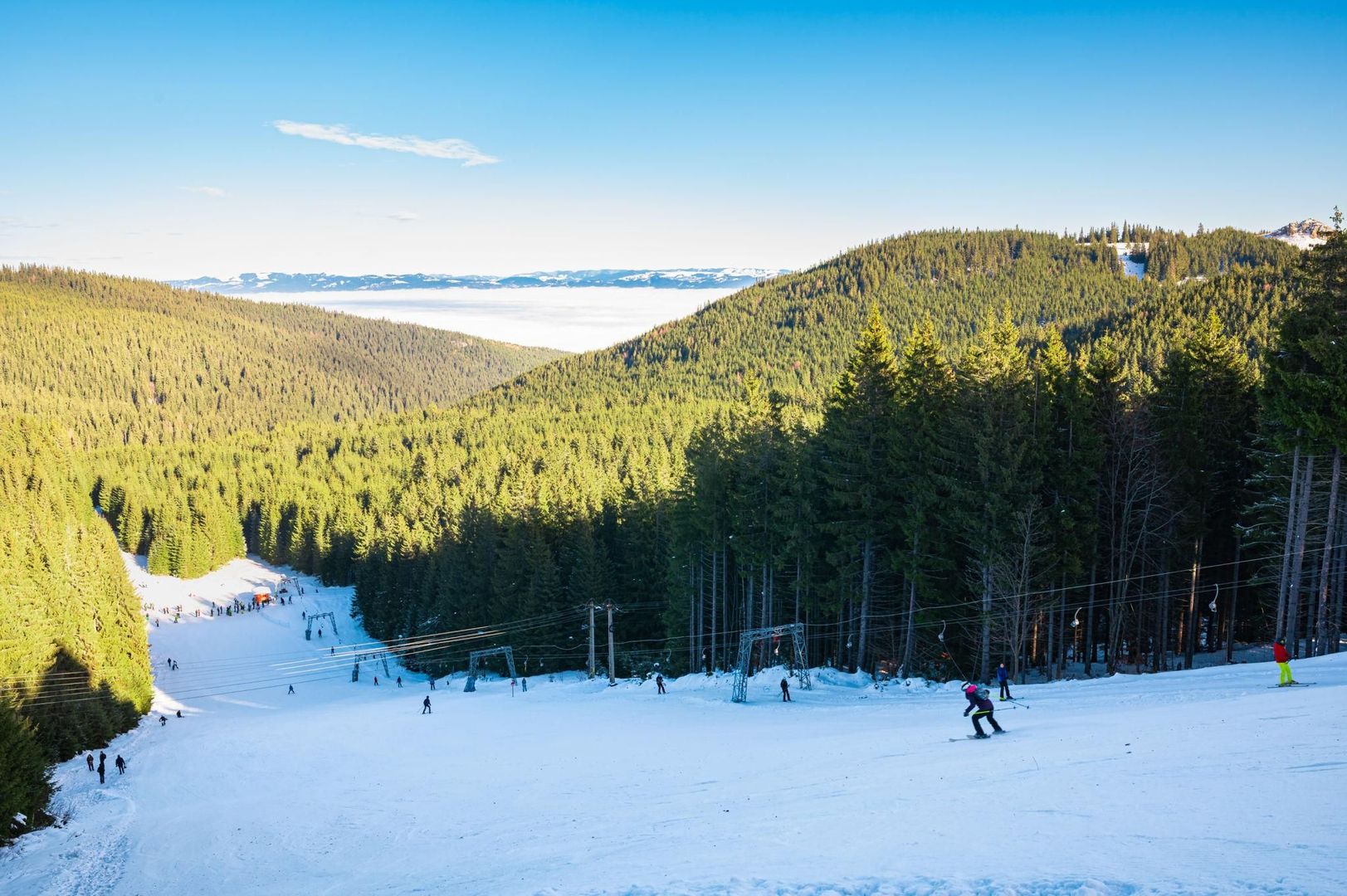 Teren 4,46 ha pentru resort / cabane – Vatra Dornei, intravilan + extr - Poză 5