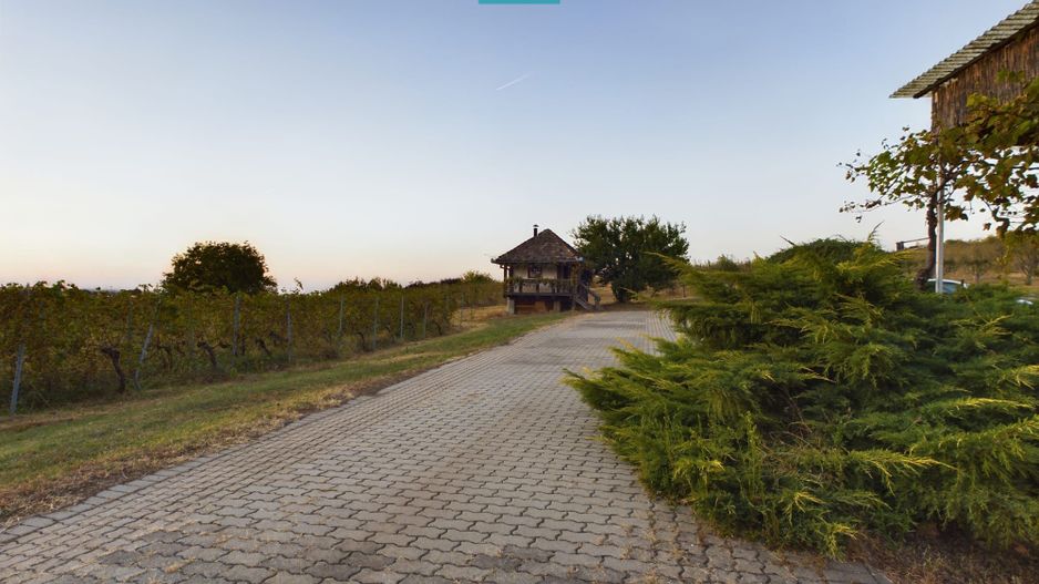 Spațiu comercial - Crama Pivnițele Birăuaș - Poză 21