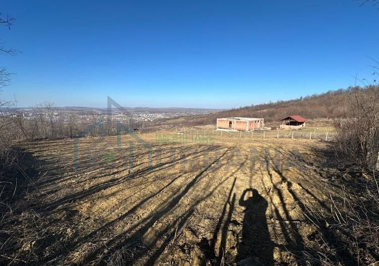 Teren interval Vladiceni - Poză 1