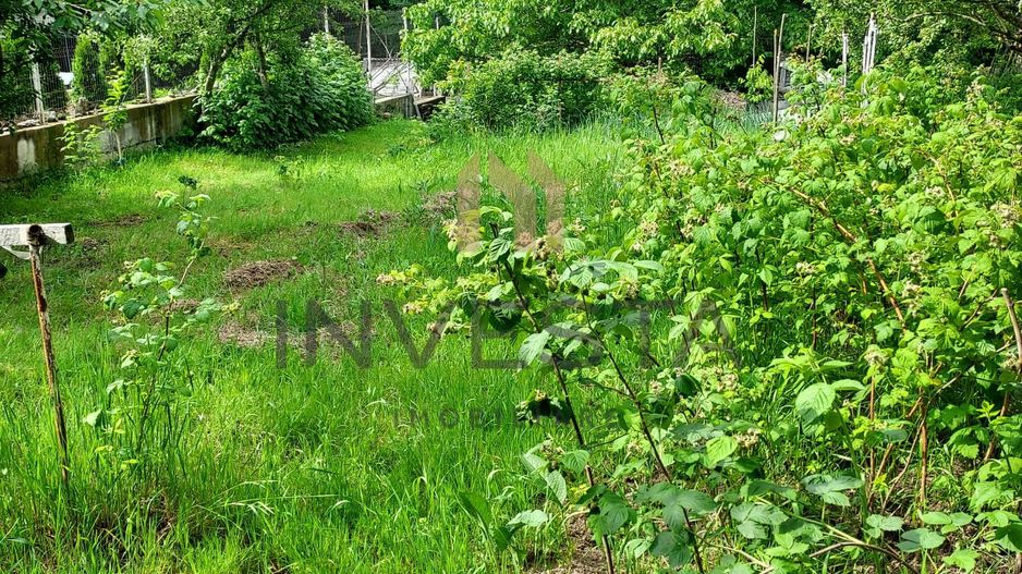 Teren la liziera padurii! - Poză 4