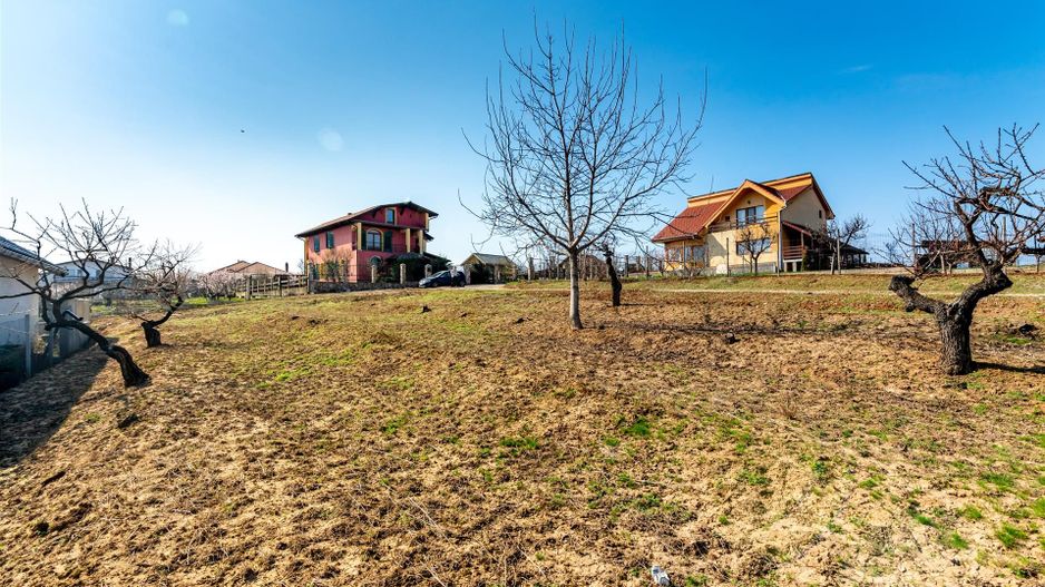 Teren intravilan Paleu - Poză 2