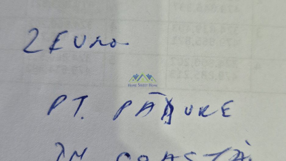 Vand teren extravilan Cerbal, 20.424mp, posibil reimpadurire - Poză 3