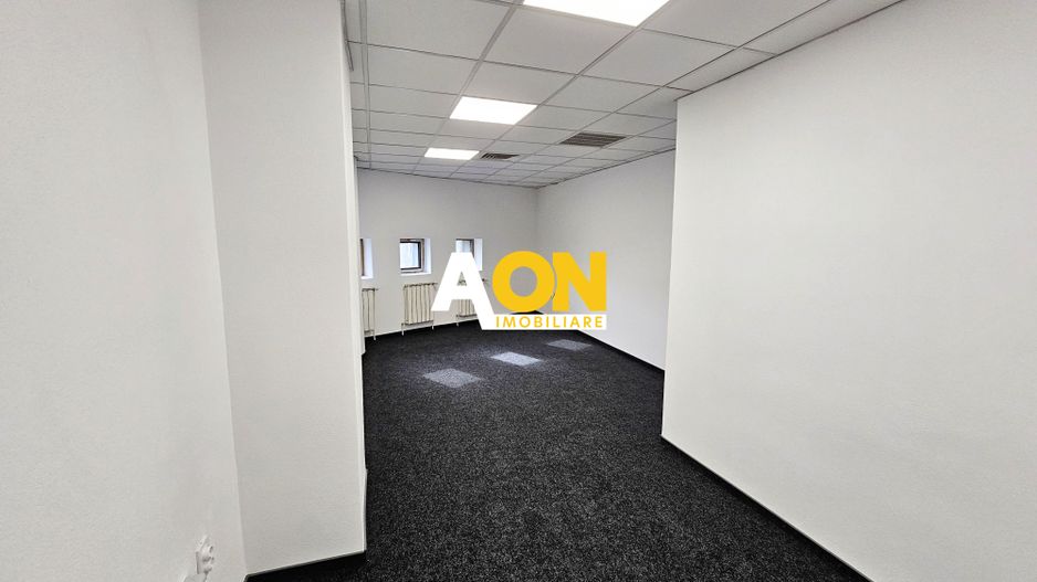 Spatii de birouri, suprafata flexibila, 12 euro/mp, utilitati incluse. - Poză 12