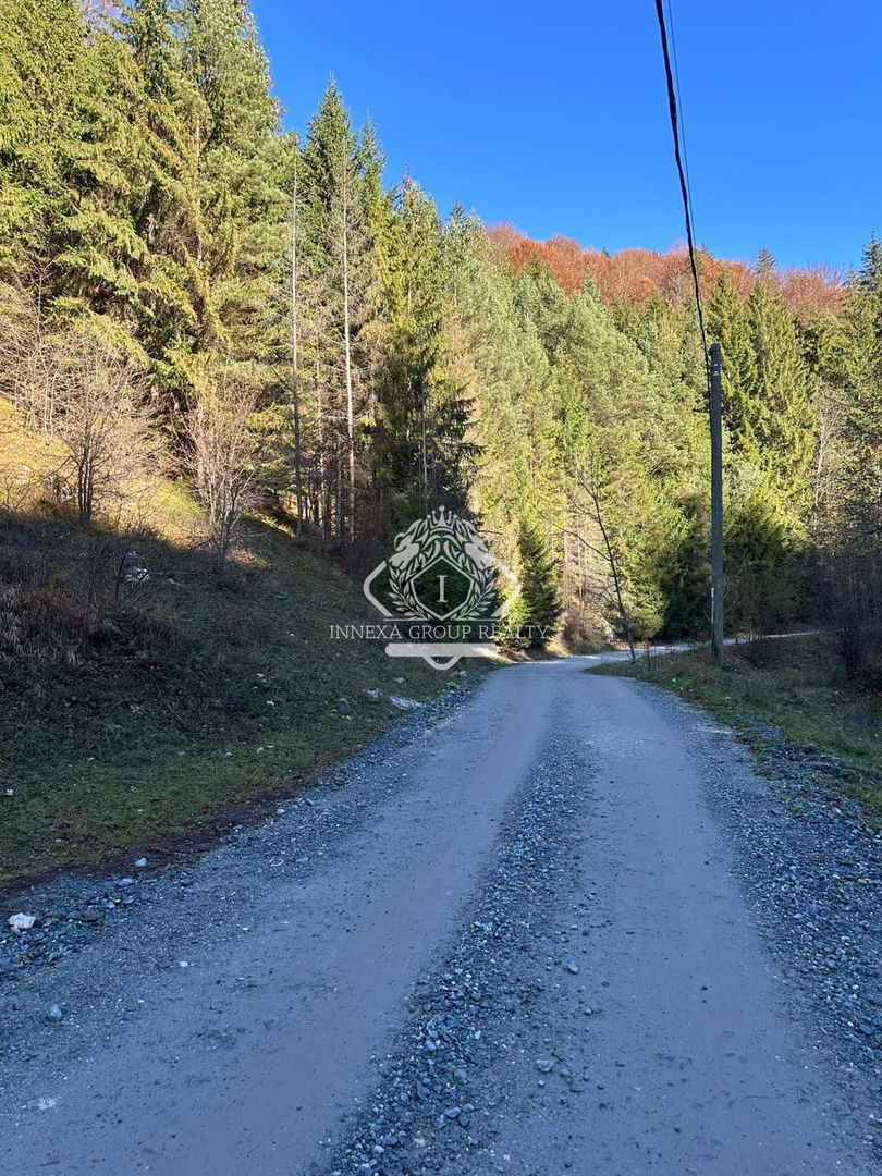 Teren 2.882 mp – oportunitate investitie - Cheile Dâmbovicioarei - Poză 14