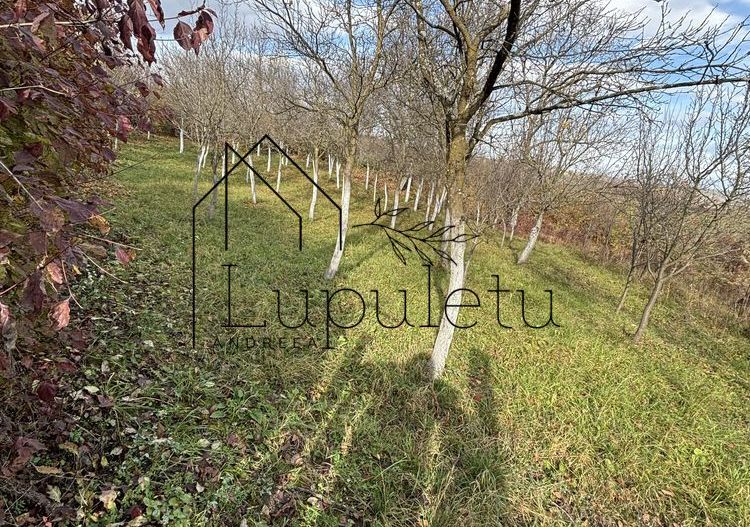 Casă Tradițională de Vânzare| Aciliu | Potențial investițional ridicat - Poză 3