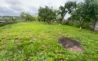 Casa de Vanzare | Maneuti | 3000MP - Poză 5