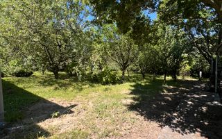 Casă de vacanță la munte, locuibilă, teren mare, Sadu/Tocile/Sibiu - Poză 15