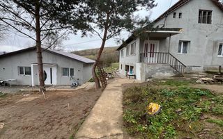 Două case individuale de vânzare în Teliuc –ideale pentru două familii - Poză 1