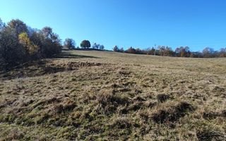 Teren de vanzare, intravilan, 16667 mp, Abrud, Jud. Alba - Poză 1