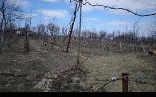 Casă de vânzare în satul Mânjești, comuna Mogoșești, județul Iași - Poză 4