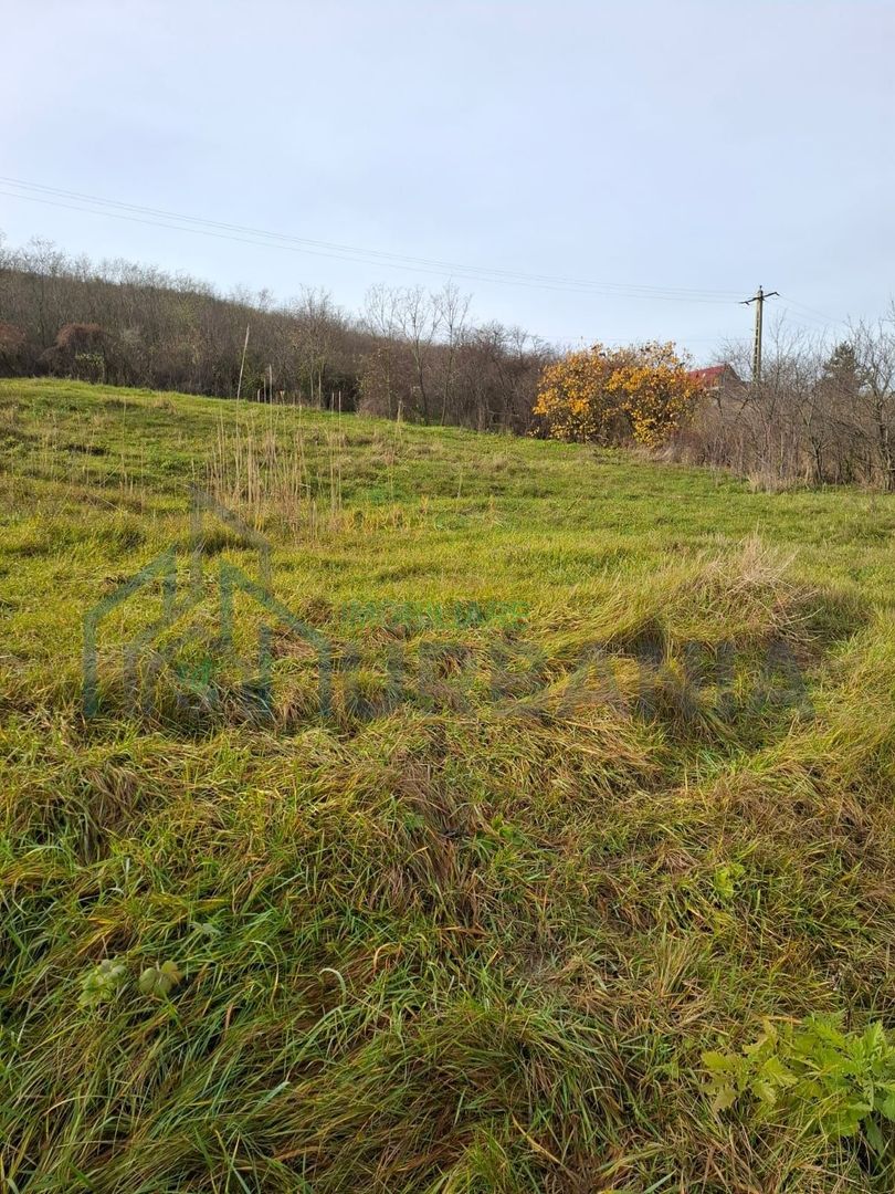 VAND Teren Golaiesti - Poză 2