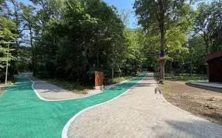 OCAZIE RARĂ - Teren cu cabană de vânzare lângă Lacurile Naturale - Ocna Sibiului - Poză 16
