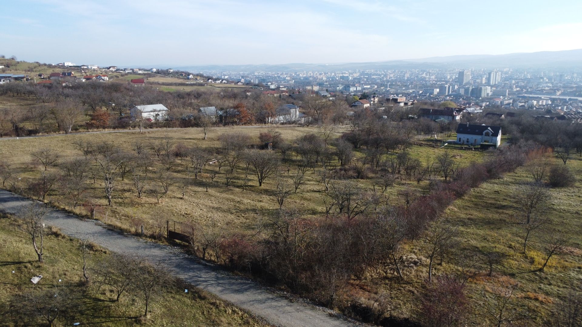 Teren 20.146 mp Dâmbu Rotund (Lomb).Extravilan.Potențial rezidențial - Poză 4