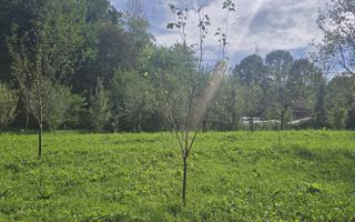 Oportunitate de investiție în Breaza – teren intravilan de 3.591 mp - Poză 7